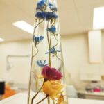 ハーバリウムをいただきました。